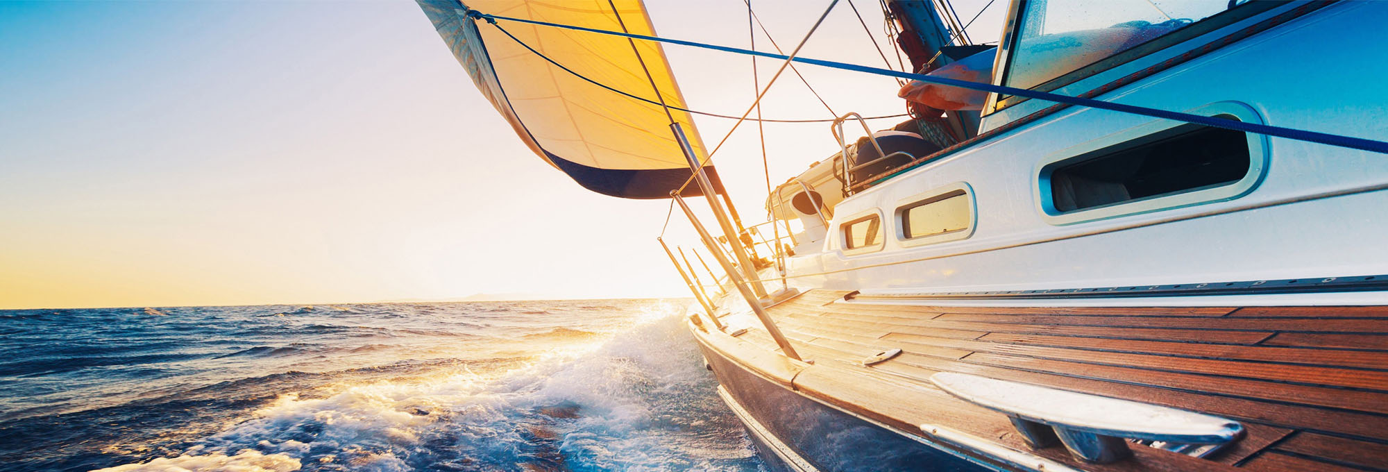 ������ѡ��